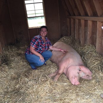 The Gentle Barn - Attraction Farms Near Me - Christiana, Tennessee The Gentle Barn - Attraction Farms Near Me - Christiana, Tennessee