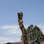 Photo of TLC2 Tree Service