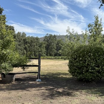 Indian Rock Vineyards - Wine Tasting Room Near Me - Murphys, California Indian Rock Vineyards - Wine Tasting Room Near Me - Murphys, California