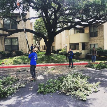 A.L. Tree Services - Devonshire condominiums - Tree Services Near Me - San Antonio, Texas