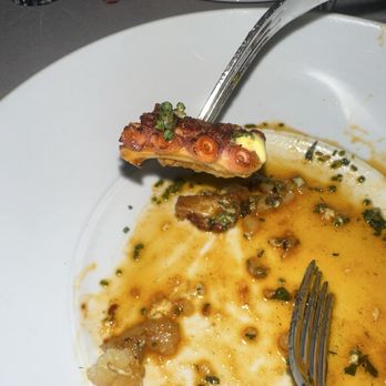 Maple & Ash - Octopus - Steakhouses Near Me - Scottsdale, Arizona