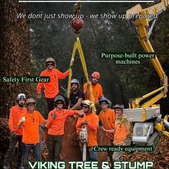 1. Viking Tree and Stump Service