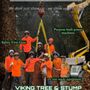Photo of Viking Tree and Stump Service