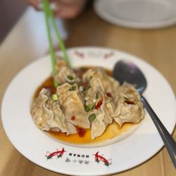 Sohunan - #1Hunan Dumplings