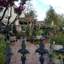 Clarke's Garden