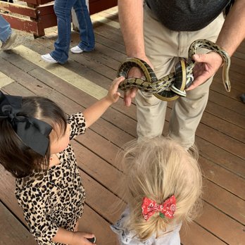 Rainforest Adventures - A zoo keeper brought out this snake and my two year old went right up and petted it! - Zoos Near Me - Sevierville, Tennessee