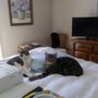 Photo of Sparrow Cleaning Services