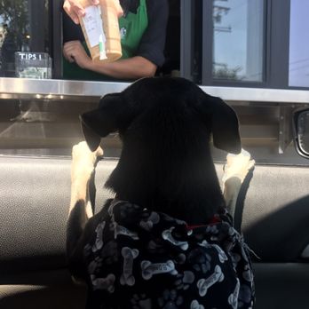 Starbucks - Coffee & Tea Near Me - Covina, California Starbucks - Coffee & Tea Near Me - Covina, California