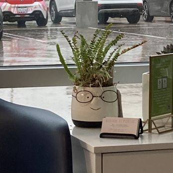 Vision Republic - Super adorbs planter in the front window - Optometrists Near Me - Katy, Texas
