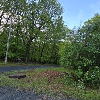 Allmark Tree & Crane Service - Tree Services Near Me - Castleton, New York Allmark Tree & Crane Service - Tree Services Near Me - Castleton, New York