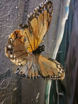 Bube's Brewery by null