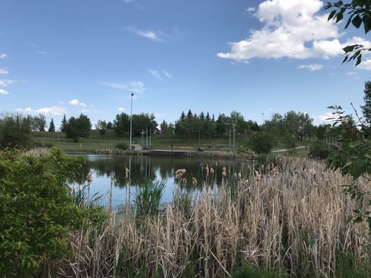 MILL WOODS PARK Updated March 2025 29 Photos 273066 Street