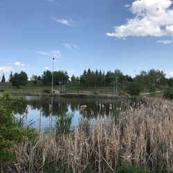 Mill Woods Park