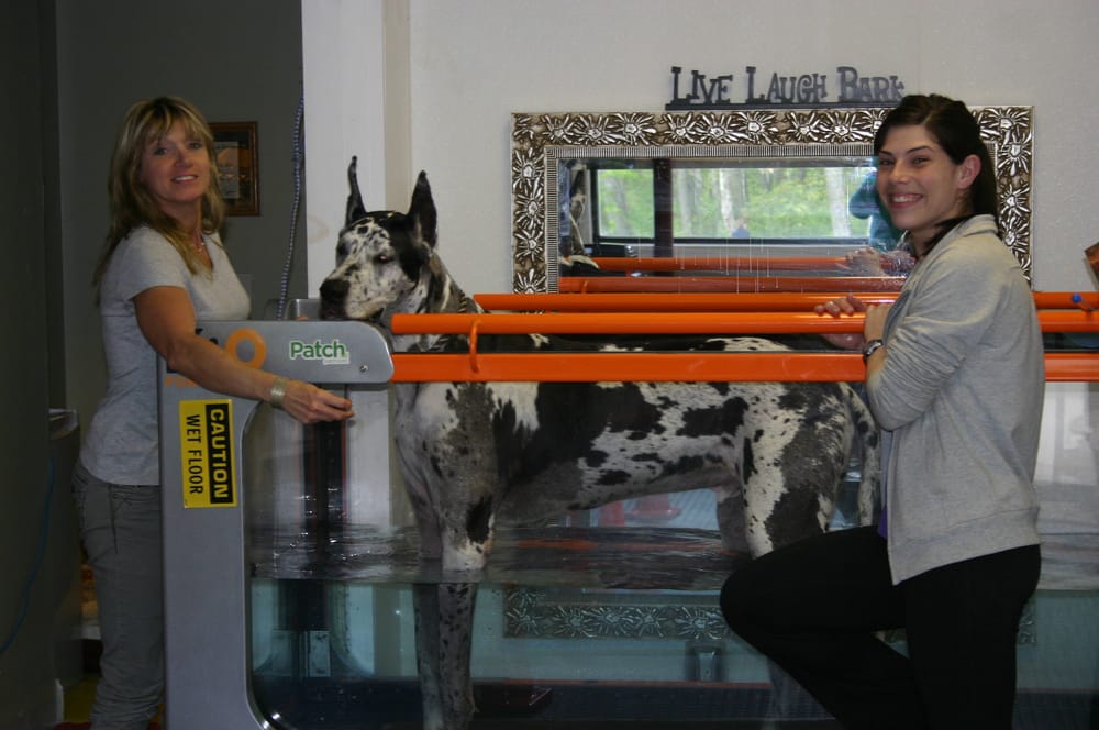Northborough Canine Rehabilitation & Fitness Center - pet boarding facility in Northborough, MA