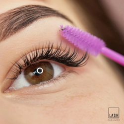 Lash and Company - Lakewood