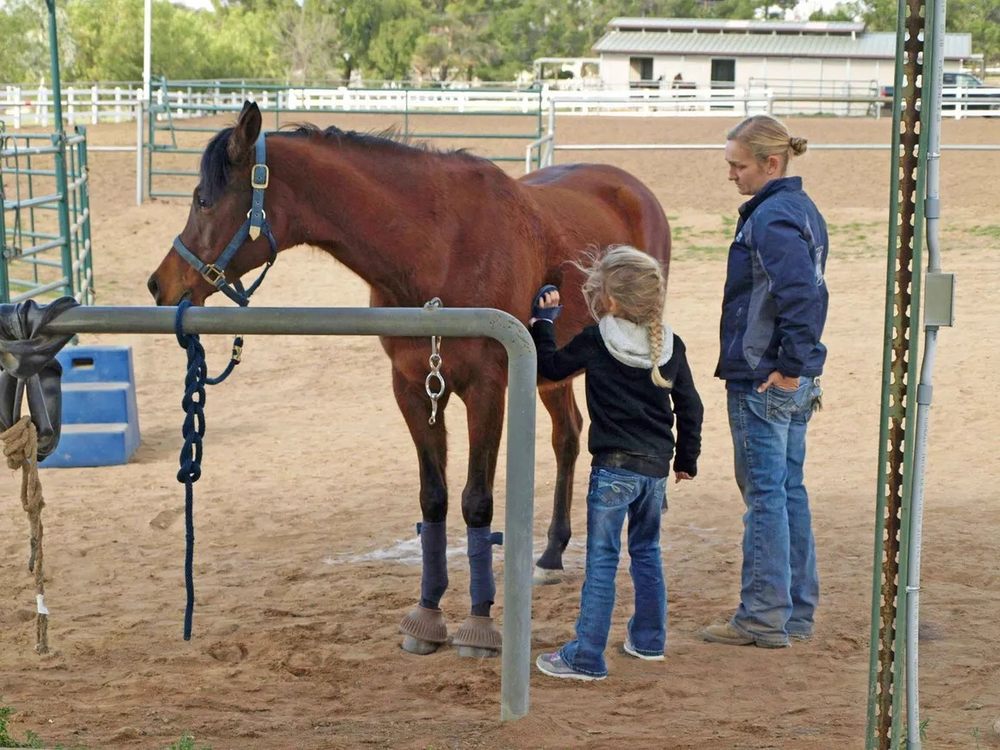 Collins Horse Ranch Logo