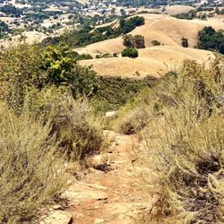 El Toro Mountain