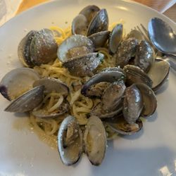 Surfista - Linguine with clam sauce