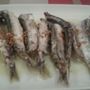 Photo of El Hule
