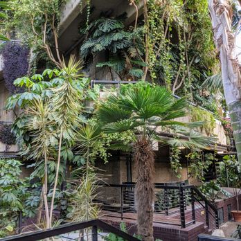Barbican Conservatory - Performing Arts Near Me - London, XGL