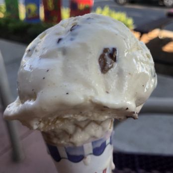 Purity Ice Cream - 1 Scoop Butter Pecan - Ice Cream & Frozen Yogurt Near Me - Ithaca, New York Purity Ice Cream - 1 Scoop Butter Pecan - Ice Cream & Frozen Yogurt Near Me - Ithaca, New York