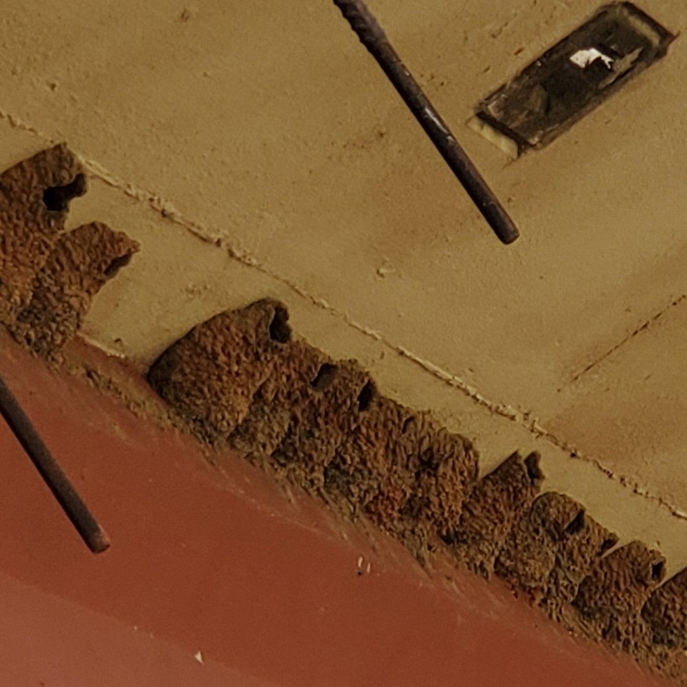 Wheeler Park - Bird nests under overpass - Parks Near Me - Oklahoma City, Oklahoma Wheeler Park - Bird nests under overpass - Parks Near Me - Oklahoma City, Oklahoma