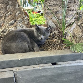 Terra Bella Nursery - Made a friend! - Nurseries & Gardening Near Me - San Diego, California Terra Bella Nursery - Made a friend! - Nurseries & Gardening Near Me - San Diego, California
