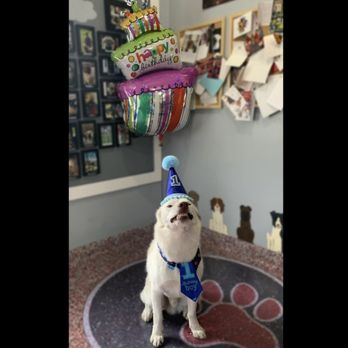 FIDO - Pet Training Near Me - Lancaster, Ohio