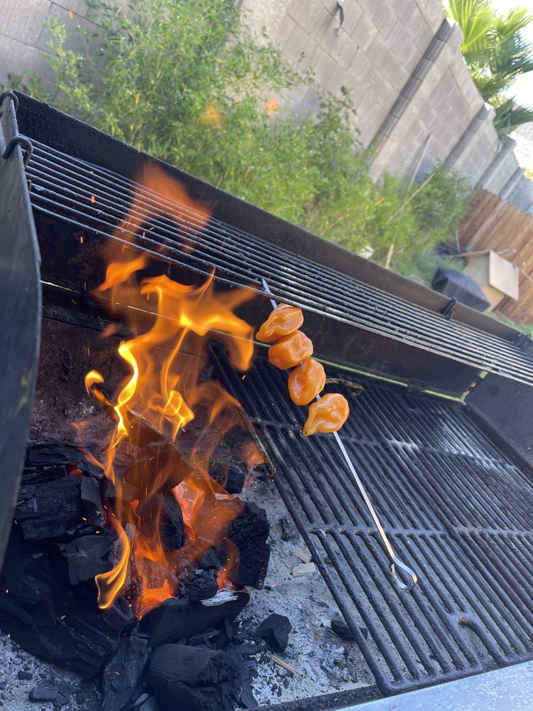 Tacos Los Toxicos