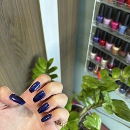 Navy Blue Coffin