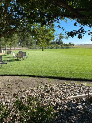 Julietta Winery by null