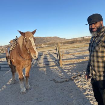 Cascade Trails Mustang Sanctuary - Little John the horse - Horseback Riding Near Me