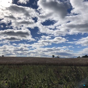 Brookfield Pumpkins - Pumpkin Patches Near Me - Thurmont, Maryland