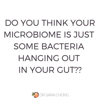 Dr. Sara Chong - There are trillions of gut bugs that are supporting our everyday functions! Without them we wouldn't be able maintain our health! - Chiropractors Near Me - Honolulu, Hawaii