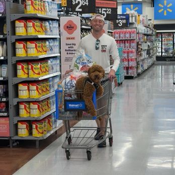 California Goldendoodle - Pet Breeders Near Me