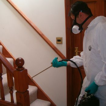 Detest Pests Pest Control - Pest Control Near Me Detest Pests Pest Control - Pest Control Near Me