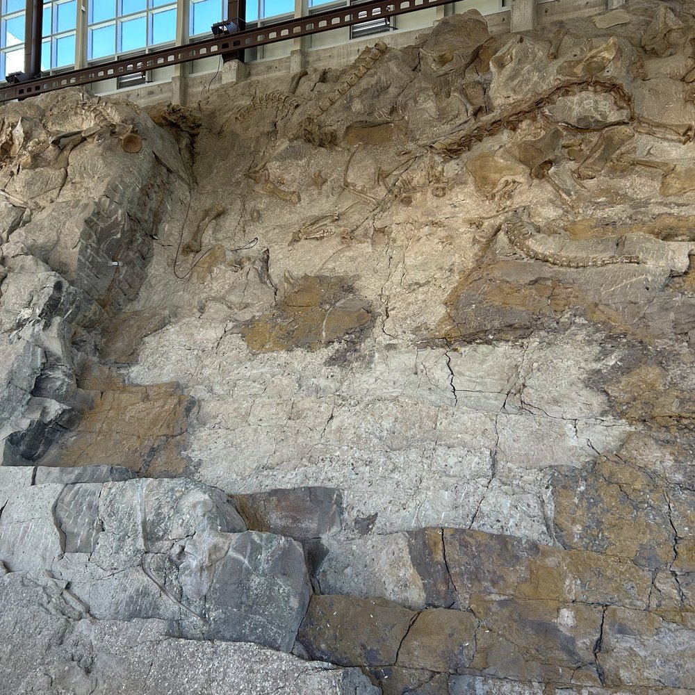 Dinosaur National Monument - Museums Near Me - Dinosaur, Colorado