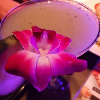 OLA Restobar - A yummy drink (I forgot the name) - Mexican Near Me - Downey, California OLA Restobar - A yummy drink (I forgot the name) - Mexican Near Me - Downey, California