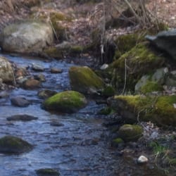 Horse Hill Nature Preserve - Stream along main trail.