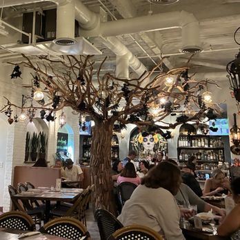 Landeros Mexican Grill + Cantina - Cool inside tree - Mexican Near Me - Temecula, California
