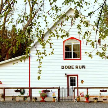 Dobe Run - Where your dog is treated like family ! - Pet Groomers Near Me - Saluda, Virginia Dobe Run - Where your dog is treated like family ! - Pet Groomers Near Me - Saluda, Virginia