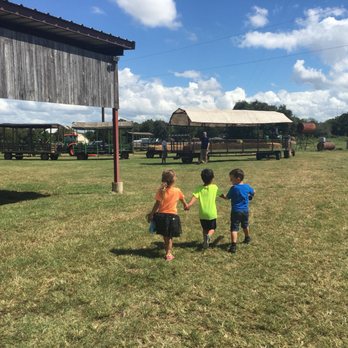 Elgin Christmas Tree Farm - Christmas Trees Near Me - Elgin, Texas