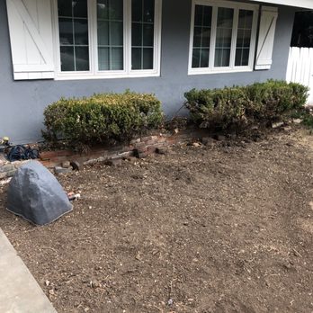 Noriega and Sons Tree Service - Before - Landscaping Near Me Noriega and Sons Tree Service - Before - Landscaping Near Me