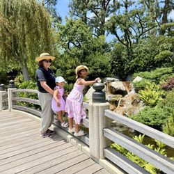 Earl Burns Miller Japanese Garden