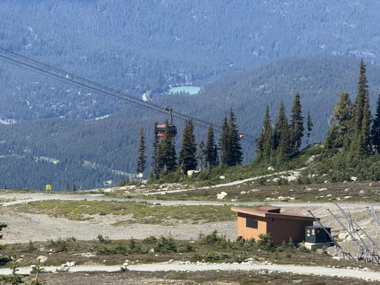 The Umbrella Bar by null