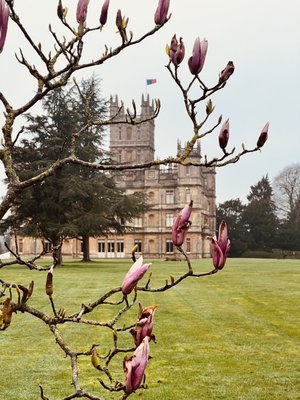 Highclere Castle by null