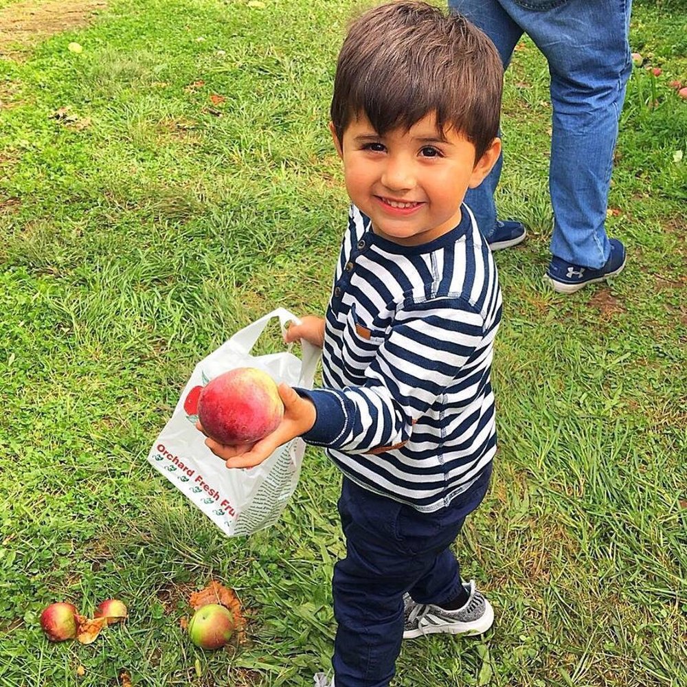 Apple Dave’s Orchards - Fruits & Veggies Near Me - Warwick, New York