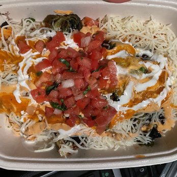 tacoria - Hoboken - Pollo Tinga Bowl - Mexican Near Me - Hoboken, New Jersey tacoria - Hoboken - Pollo Tinga Bowl - Mexican Near Me - Hoboken, New Jersey