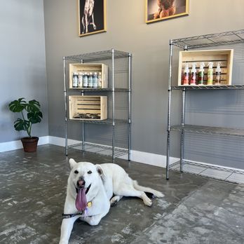 Ironmaya Pet Grooming - Pet Groomers Near Me - San Dimas, California