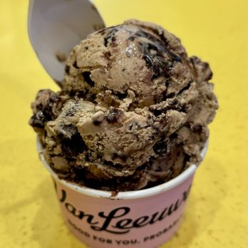 Van Leeuwen - Espresso fudge brownie ice cream - Ice Cream & Frozen Yogurt Near Me - Charlotte, North Carolina Van Leeuwen - Espresso fudge brownie ice cream - Ice Cream & Frozen Yogurt Near Me - Charlotte, North Carolina